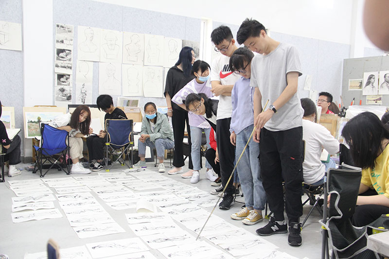 艺考生学文化课的这段时间，家长可以做什么