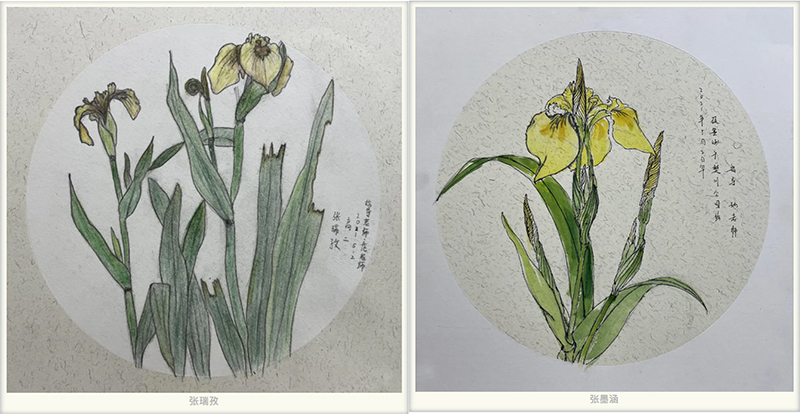 丹青易考基础部学生户外写生作品