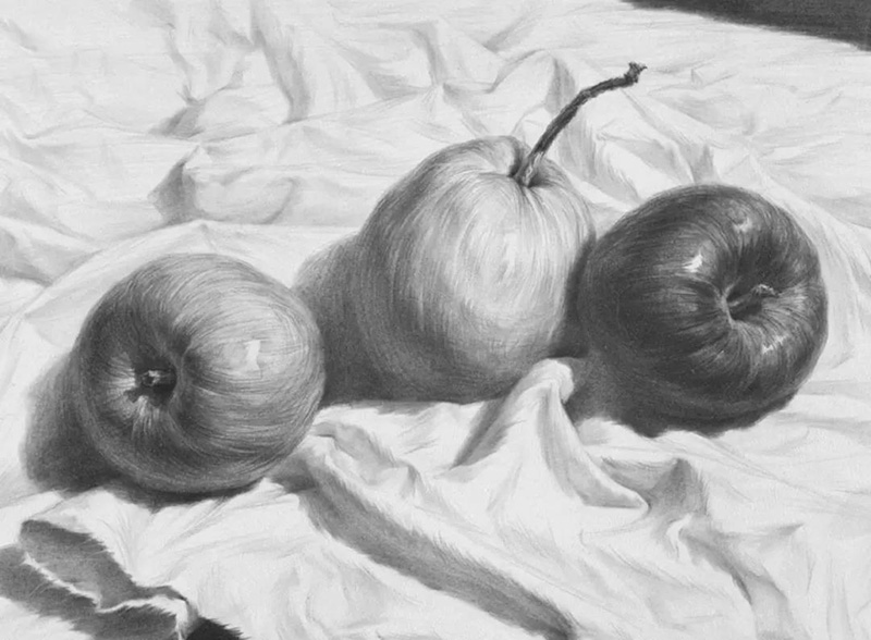 素描静物画不好的原因到底在哪里