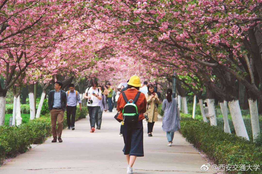 丹青易考学子带你沉浸式体验-西安交通大学
