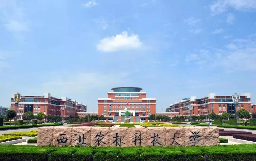 丹青易考学子带你沉浸式体验——西北农林科技大学