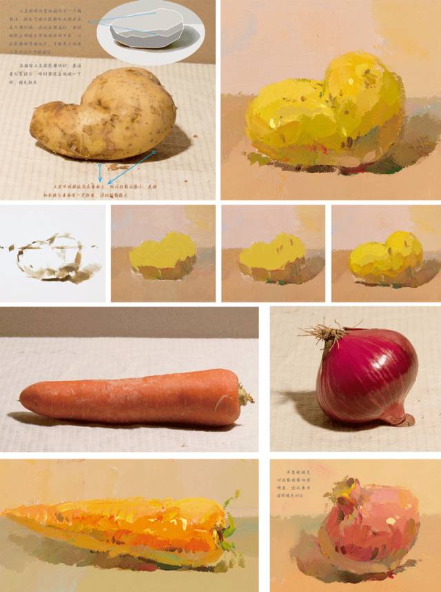 美术生艺考绘画色彩静物