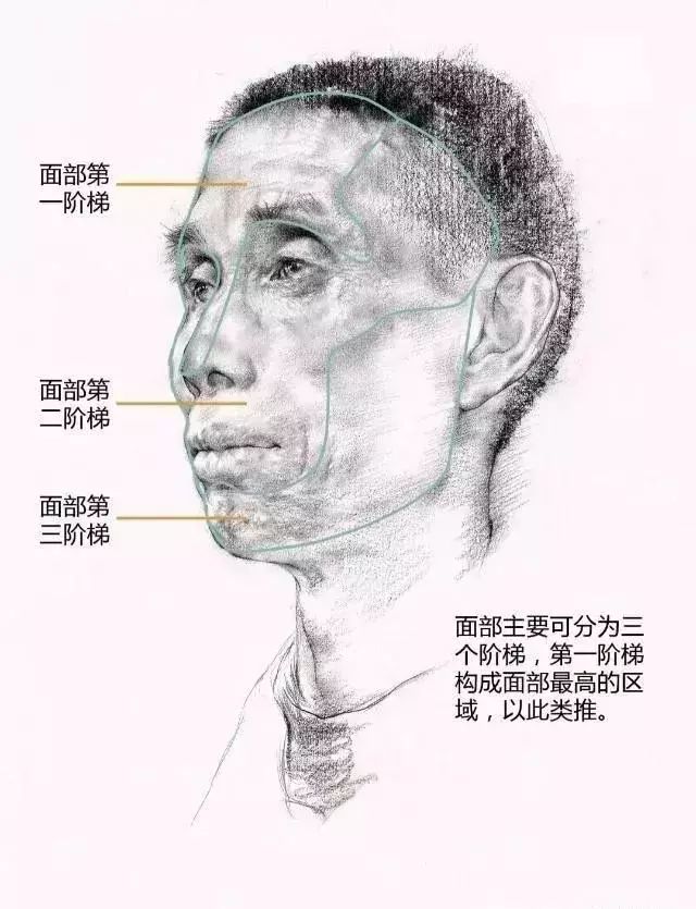 美术绘画素描头像之线性素描