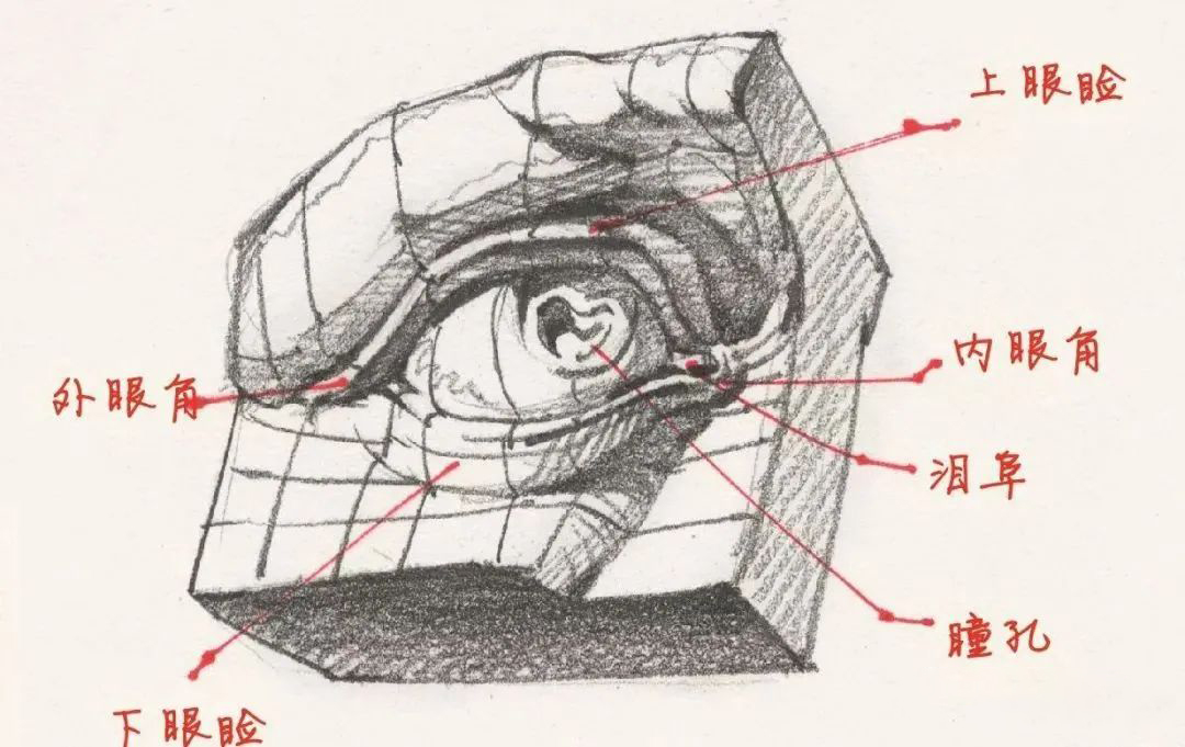 让你全面攻破眼部速写！