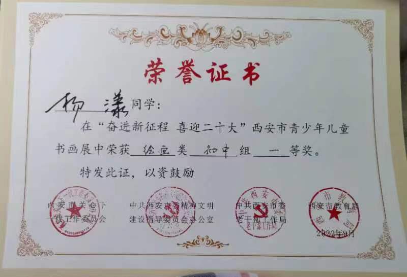 杨漾同学参赛作品与获奖证书
