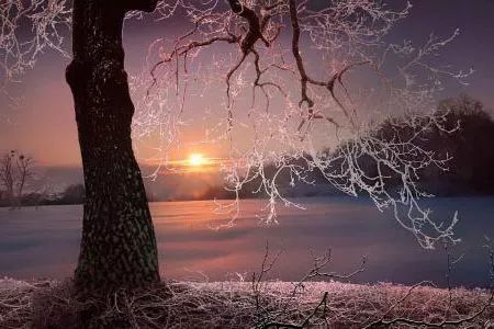 美术生设计类就业的职业方向