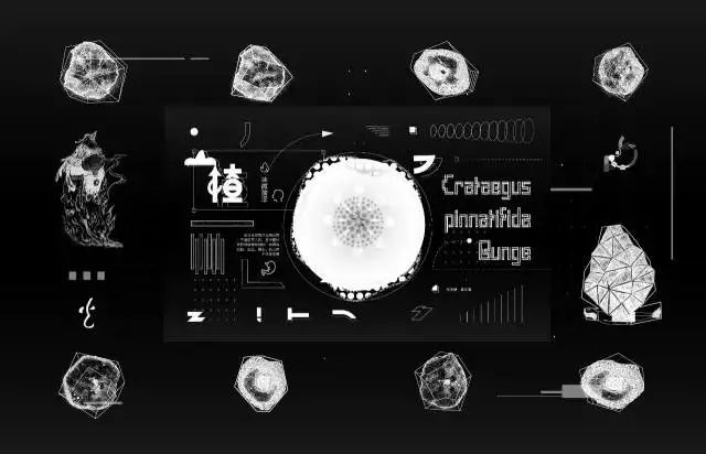 美术生设计类就业的职业方向