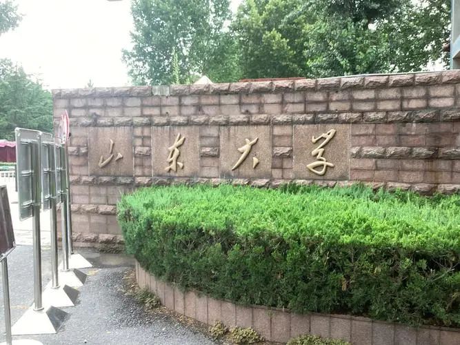 山东大学
