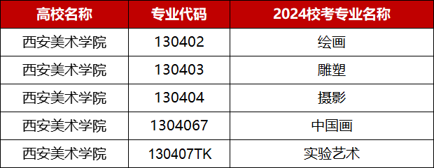 西安美术学院2024校考专业.png