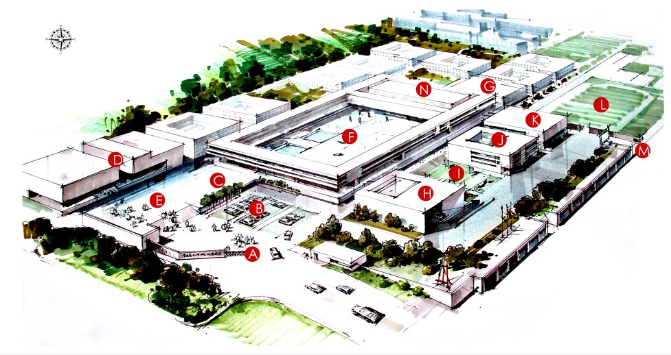 鲁迅美术学院2024校考